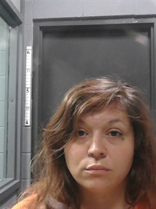 JOHNSON, Michelle LYNN