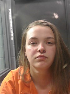 Curtis, Hailey 