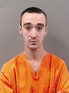 Tomei Jr, Nicholas 